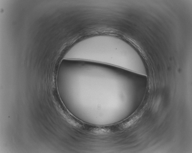 X0000084030453200702160856