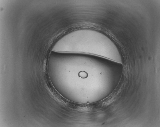 X0000084030454200702160856