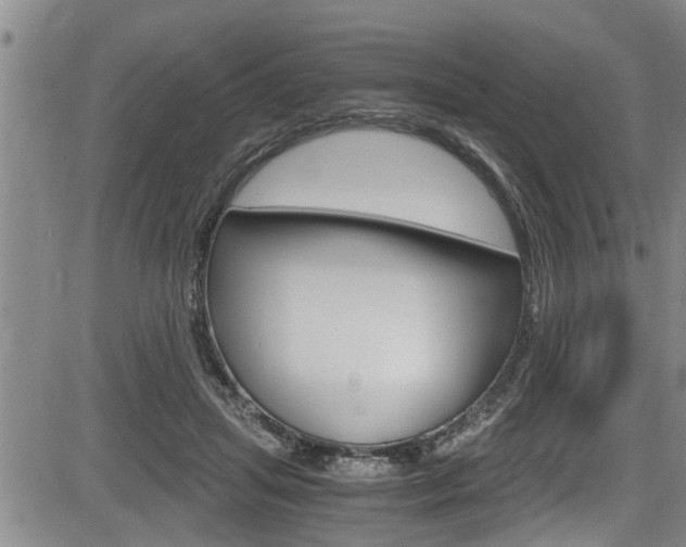 X0000084030455200702160856