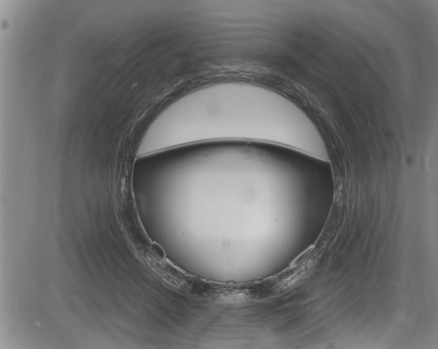 X0000084030456200702160856