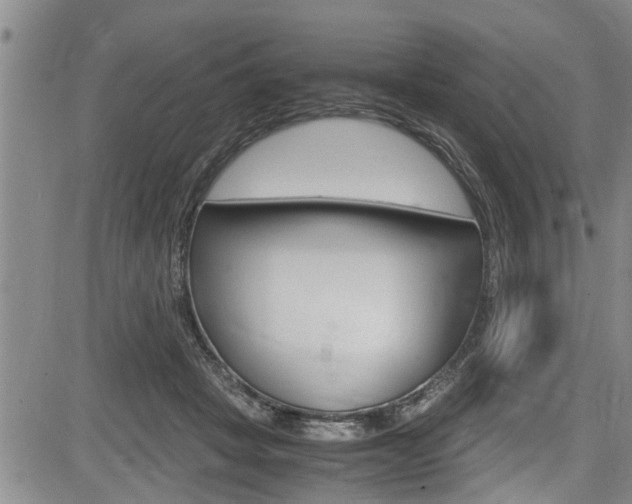 X0000084030457200702160856