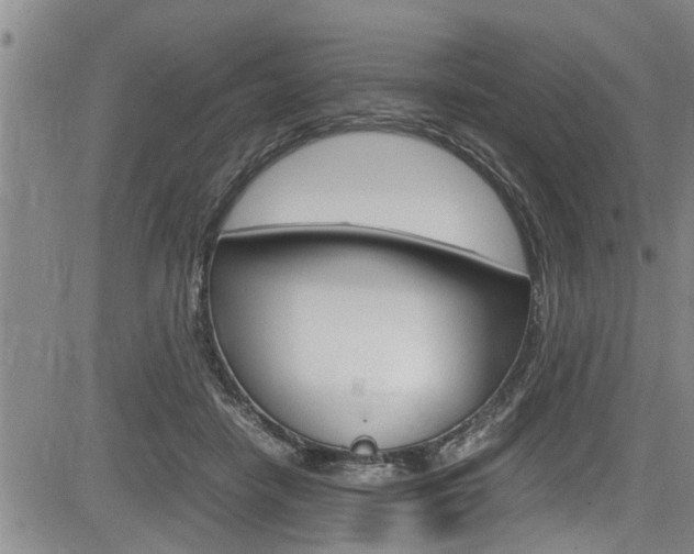 X0000084030458200702160856