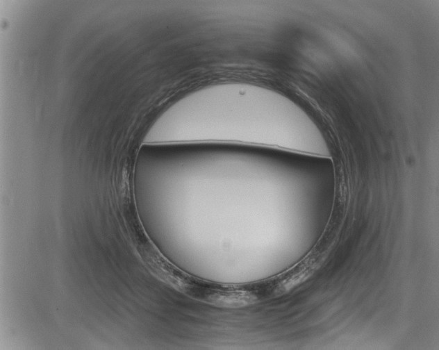 X0000084030459200702160856