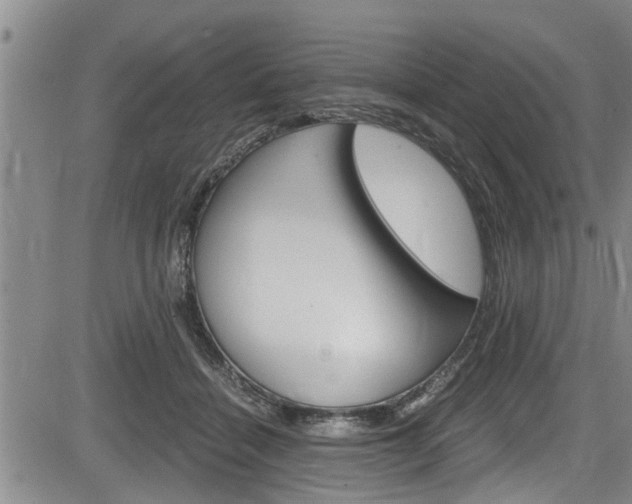 X0000084030460200702160856