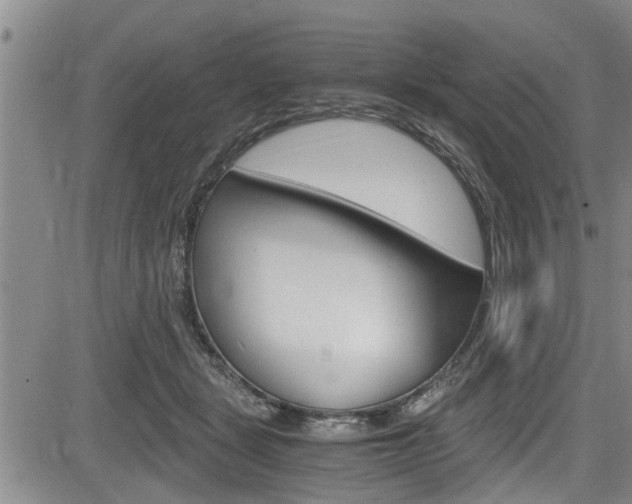 X0000084030461200702160856