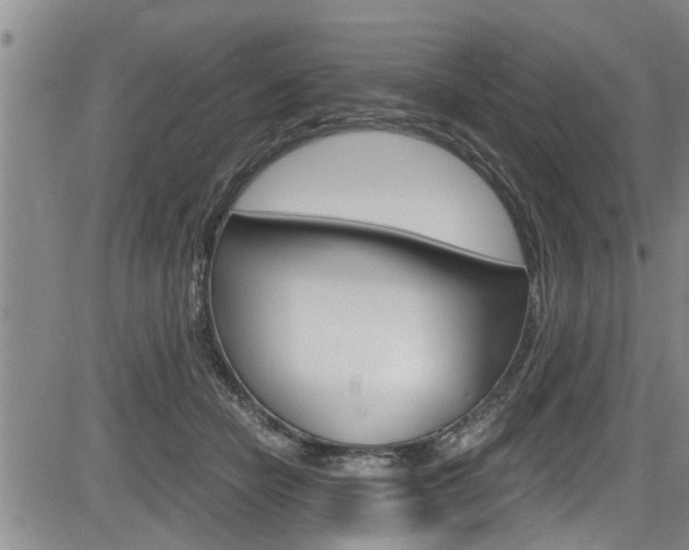 X0000084030462200702160856