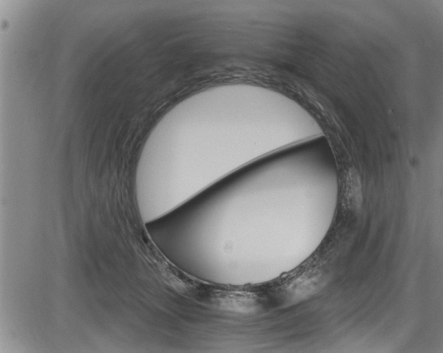 X0000084030463200702160856