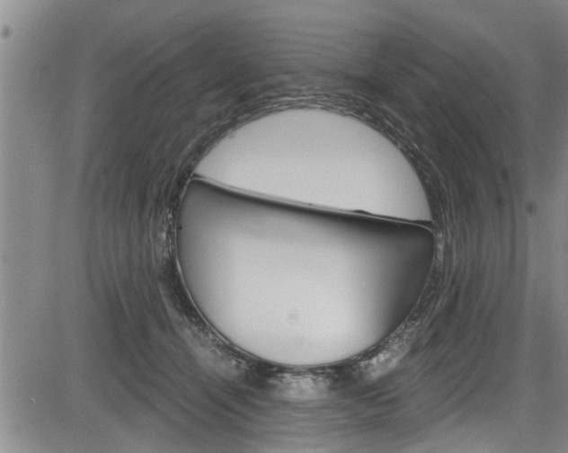 X0000084030464200702160856