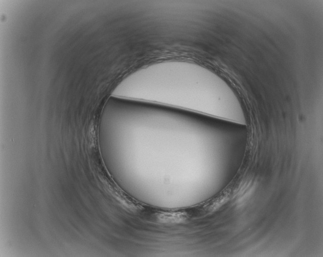 X0000084030465200702160856