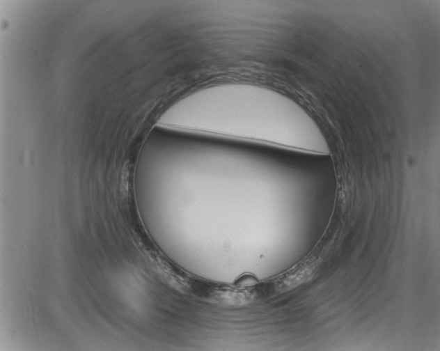 X0000084030466200702160856