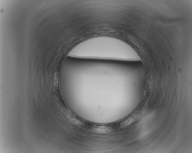 X0000084030467200702160856