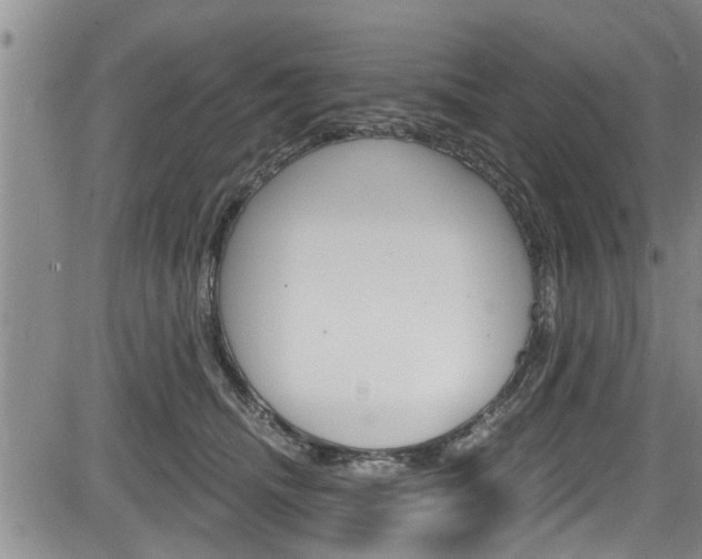 X0000084030468200702160856