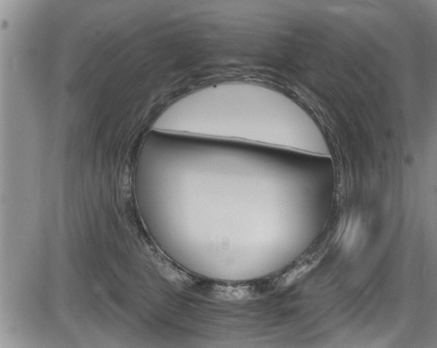 X0000084030469200702160856