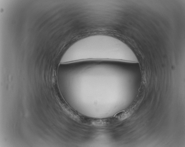 X0000084030470200702160856