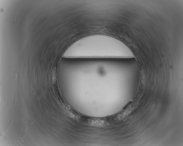 X0000084030471200702160857