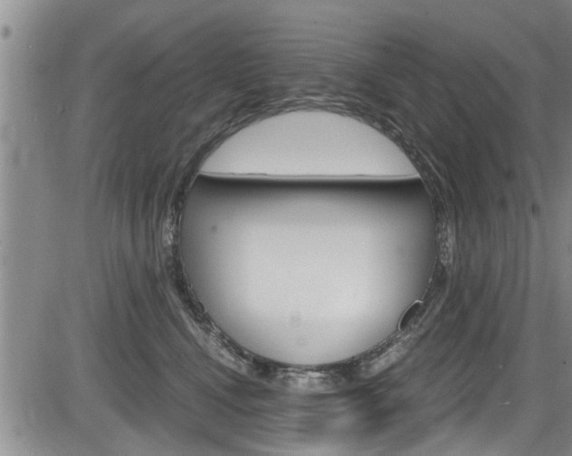 X0000084030472200702160857