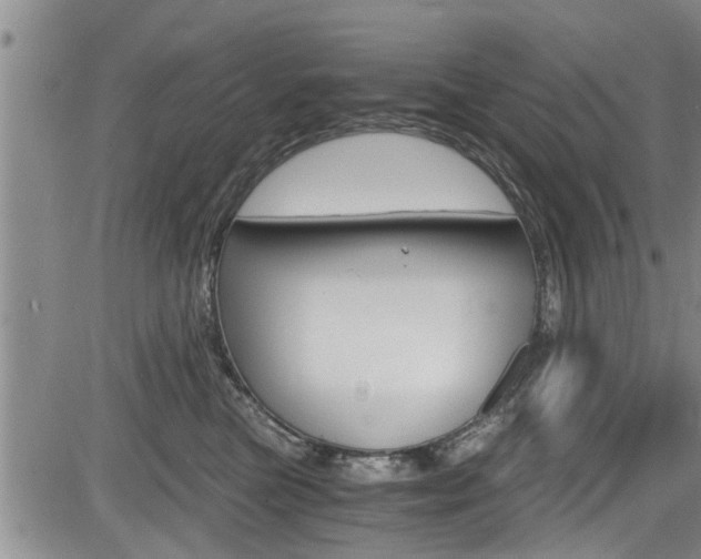 X0000084030473200702160857