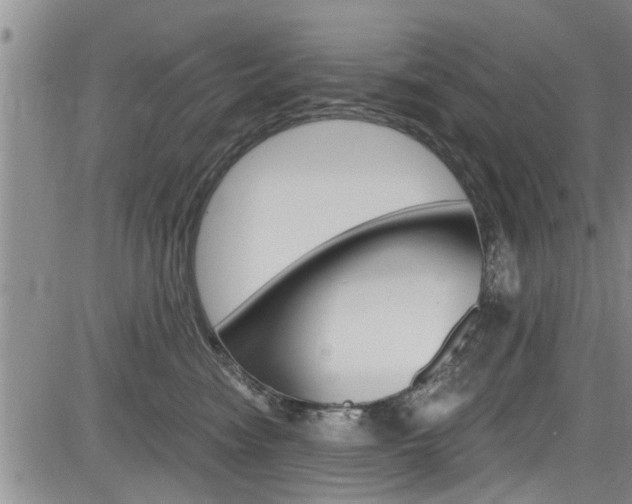 X0000084030474200702160857