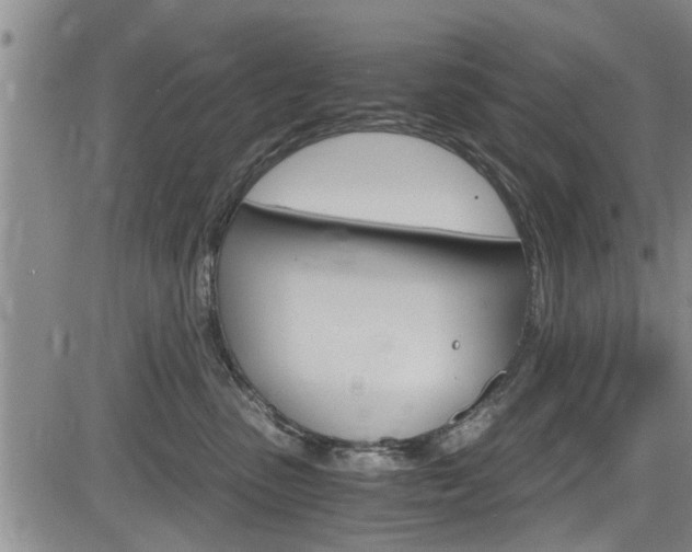 X0000084030475200702160857