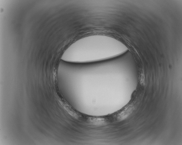 X0000084030476200702160857