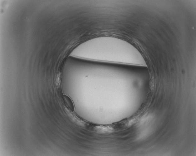 X0000084030477200702160857