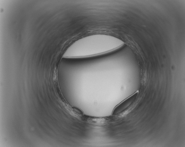 X0000084030478200702160857