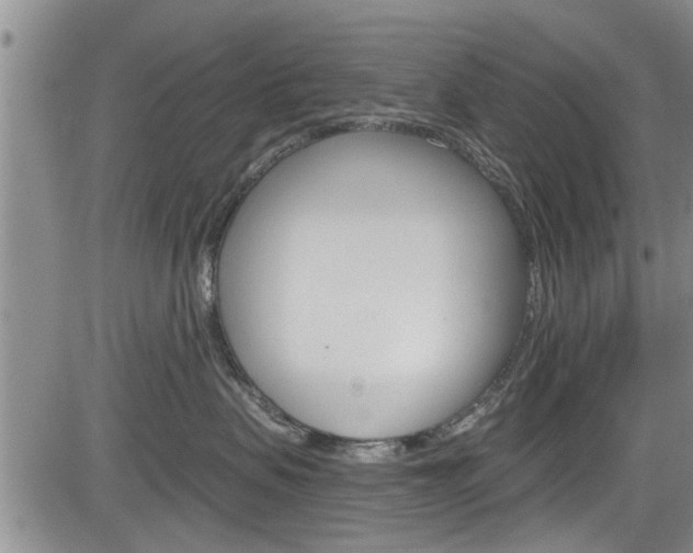 X0000084030479200702160857