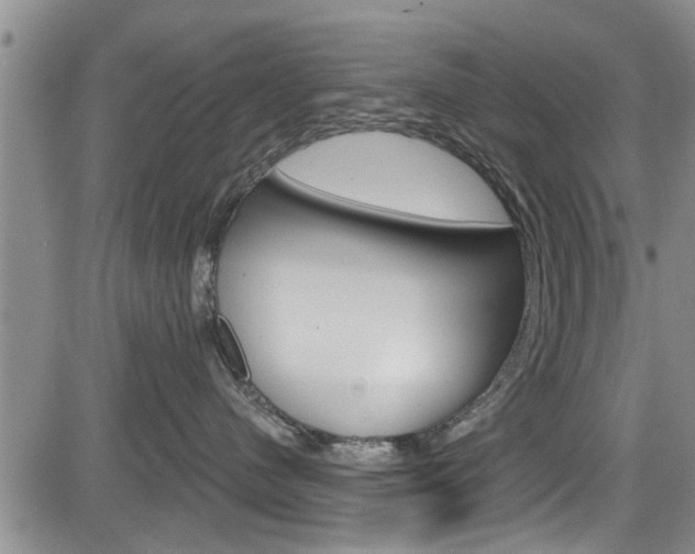 X0000084030480200702160857