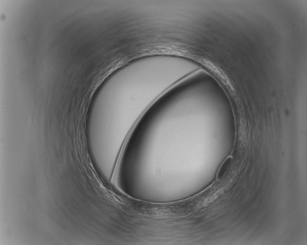 X0000084030481200702160856