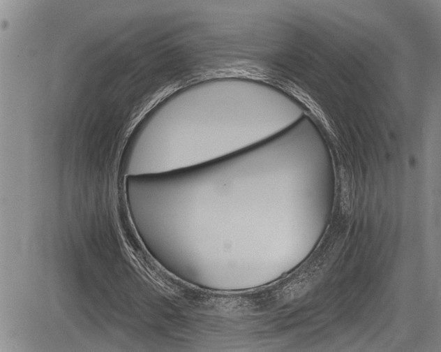 X0000084030482200702160856