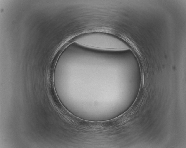 X0000084030483200702160856