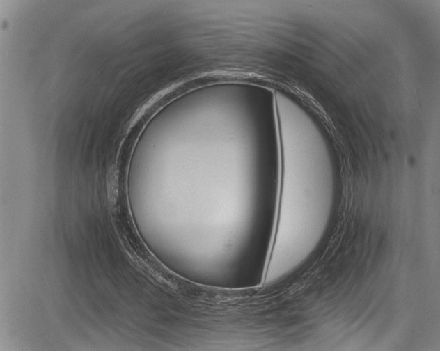 X0000084030484200702160856