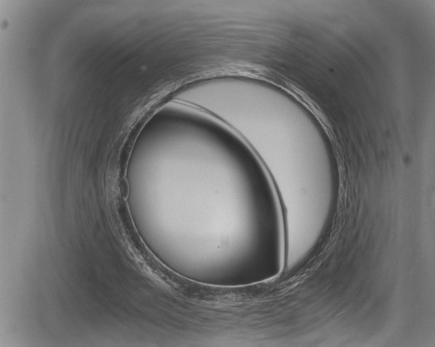 X0000084030485200702160856