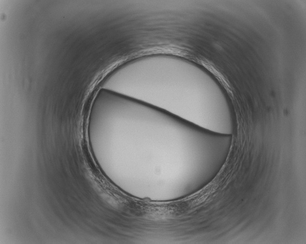 X0000084030486200702160856