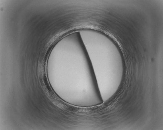 X0000084030487200702160856