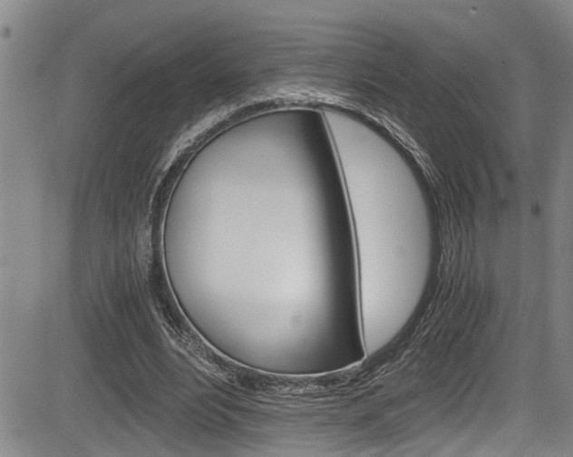 X0000084030488200702160856