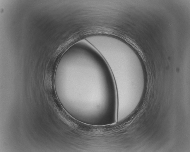 X0000084030489200702160856