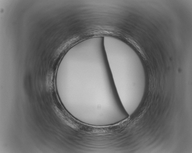 X0000084030490200702160856