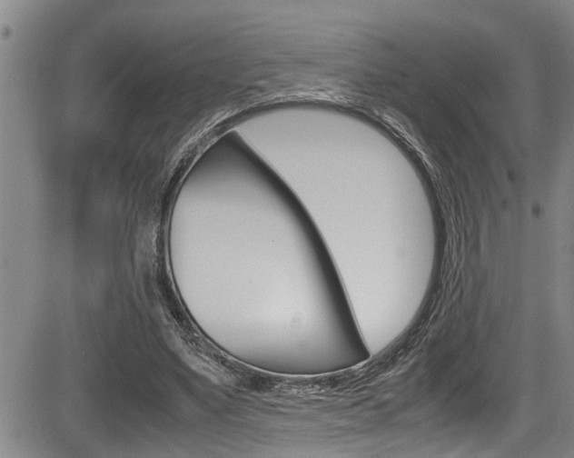 X0000084030491200702160856