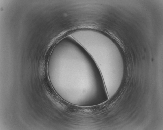 X0000084030492200702160856