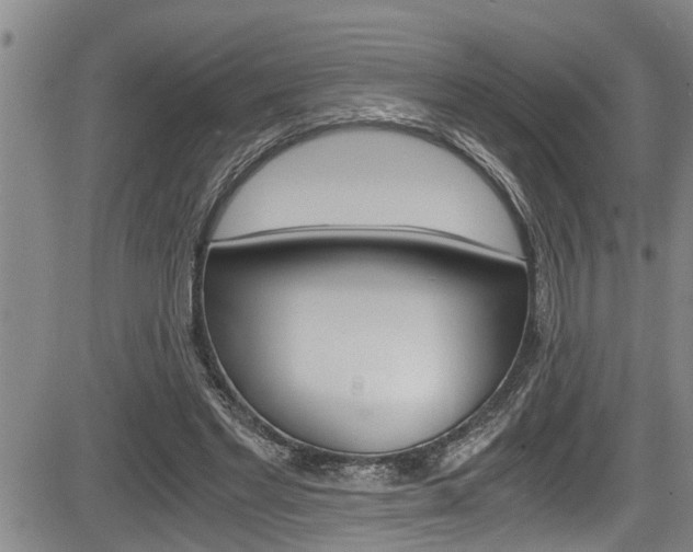 X0000084030493200702160856