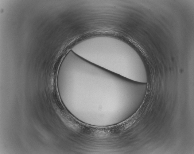 X0000084030494200702160856