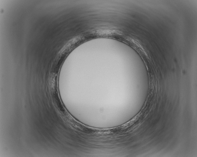 X0000084030495200702160856