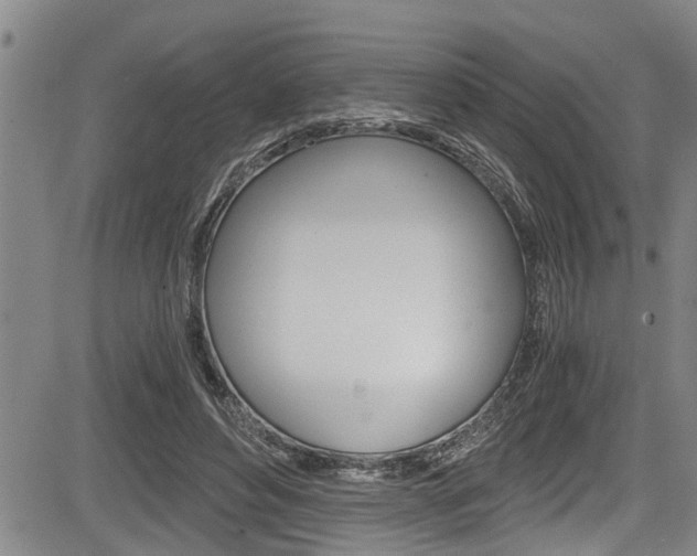 X0000084030496200702160856