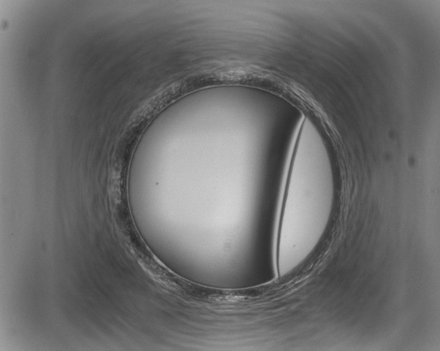 X0000084030497200702160856