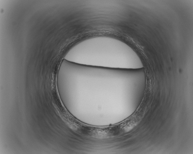 X0000084030498200702160856