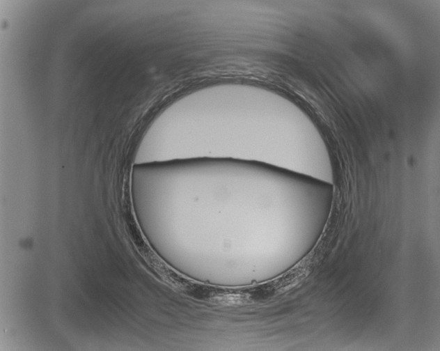 X0000084030499200702160856