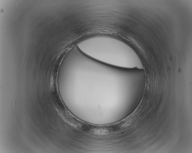 X0000084030500200702160856