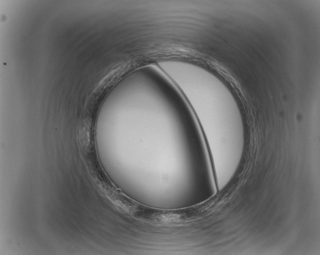 X0000084030501200702160856