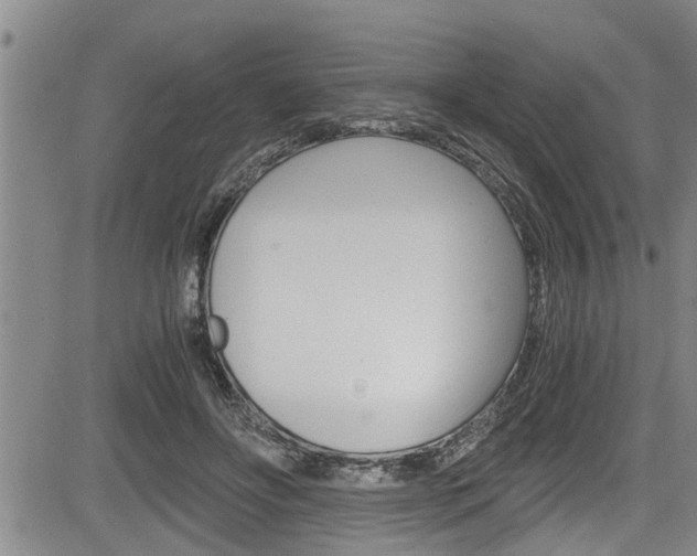 X0000084030502200702160856